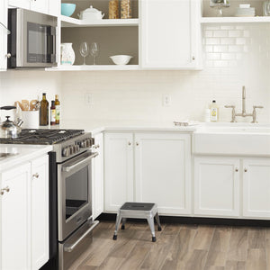 1-Step Non-Folding Steel Step Stool - Platinum/Black