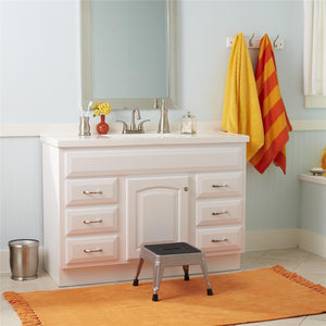 1-Step Non-Folding Steel Step Stool - Platinum/Black